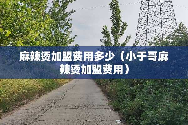 麻辣烫加盟费用多少（小于哥麻辣烫加盟费用）