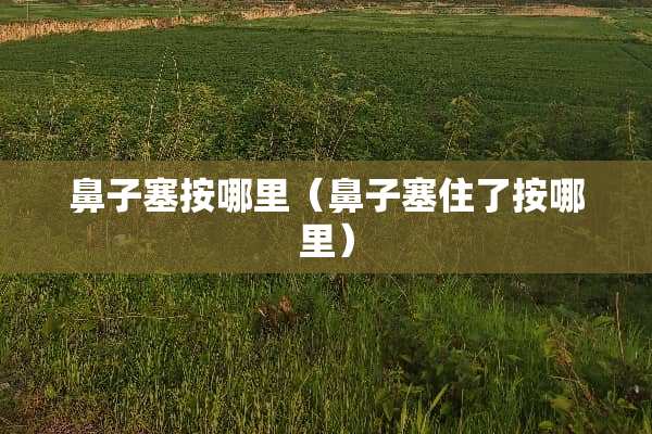 鼻子塞按哪里（鼻子塞住了按哪里）