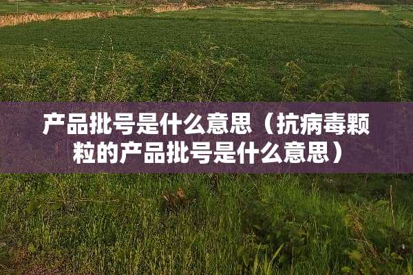 产品批号是什么意思（抗**颗粒的产品批号是什么意思）