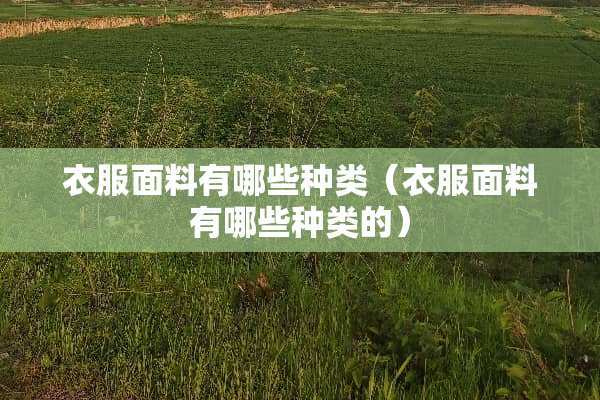 衣服面料有哪些种类（衣服面料有哪些种类的）