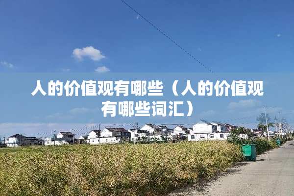 人的价值观有哪些（人的价值观有哪些词汇）