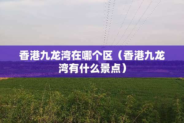 香港九龙湾在哪个区（香港九龙湾有什么景点）