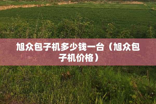 旭众包子机多少钱一台（旭众包子机价格）