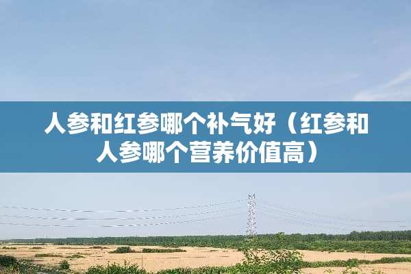 人参和红参哪个补气好（红参和人参哪个营养价值高）