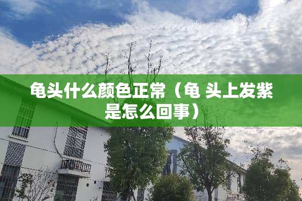 **什么颜色正常（龟 头上发紫是怎么回事）