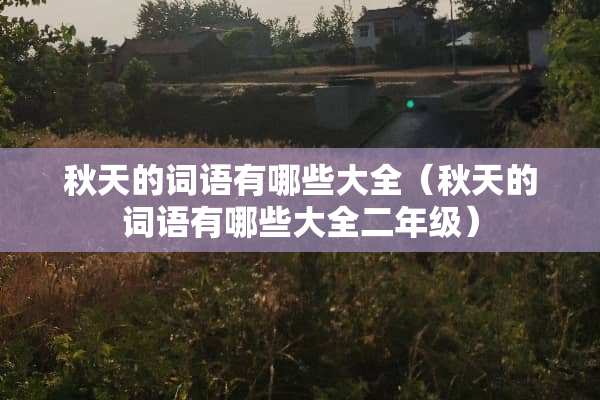 秋天的词语有哪些大全（秋天的词语有哪些大全二年级）