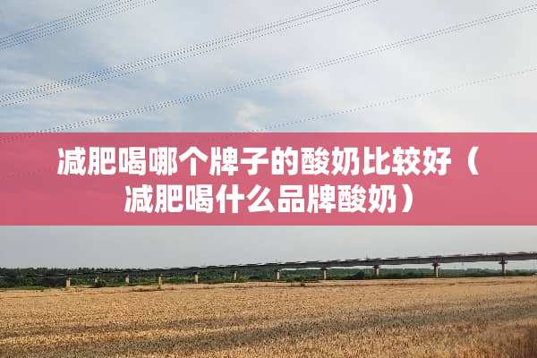 减肥喝哪个牌子的酸奶比较好（减肥喝什么品牌酸奶）