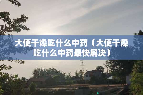 大便干燥吃什么中药（大便干燥吃什么中药最快解决）