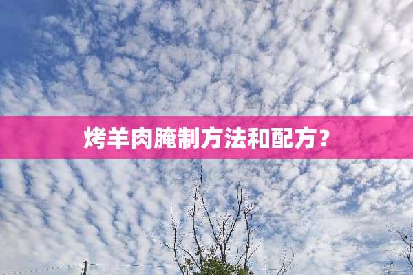 烤羊肉腌制方法和配方？