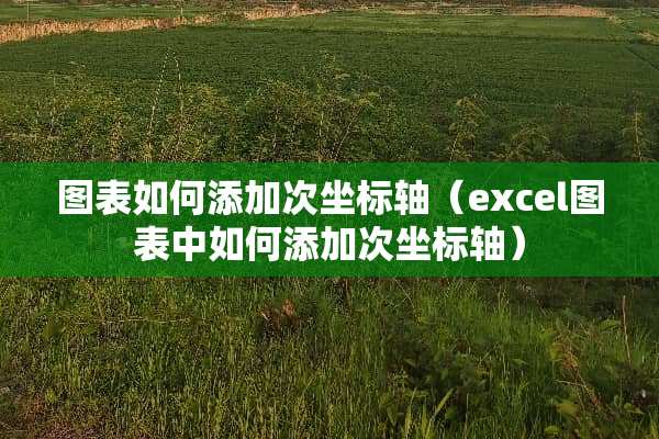 图表如何添加次坐标轴（excel图表中如何添加次坐标轴）