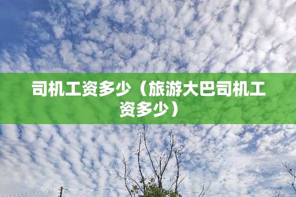 司机工资多少（旅游大巴司机工资多少）