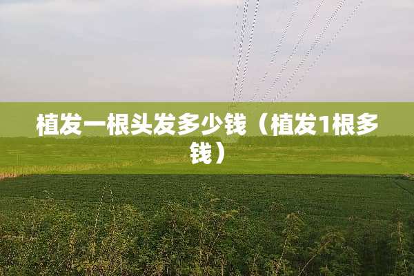 植发一根头发多少钱（植发1根多钱）