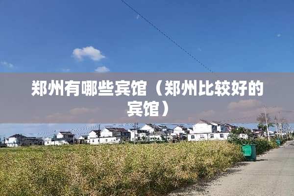 郑州有哪些宾馆（郑州比较好的宾馆）