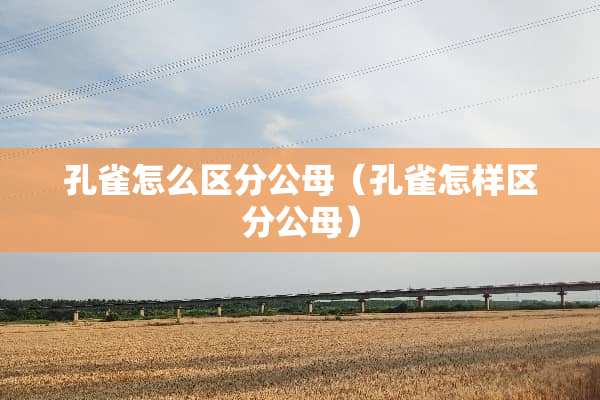 孔雀怎么区分公母（孔雀怎样区分公母）
