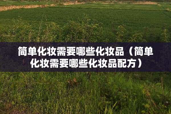 简单化妆需要哪些化妆品（简单化妆需要哪些化妆品配方）