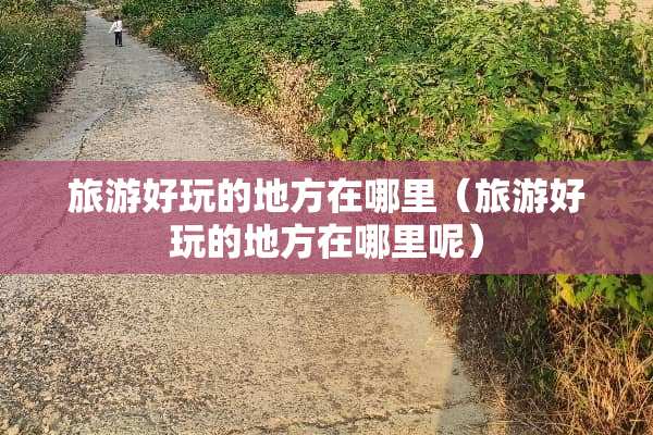 旅游好玩的地方在哪里（旅游好玩的地方在哪里呢）