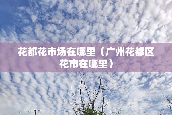 花都花市场在哪里（广州花都区花市在哪里）