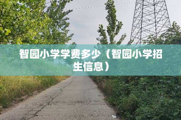 智园小学学费多少（智园小学招生信息）