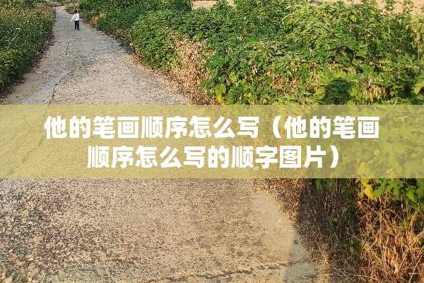 他的笔画顺序怎么写（他的笔画顺序怎么写的顺字图片）