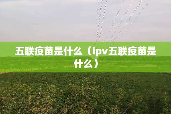 五联**是什么（ipv五联**是什么）