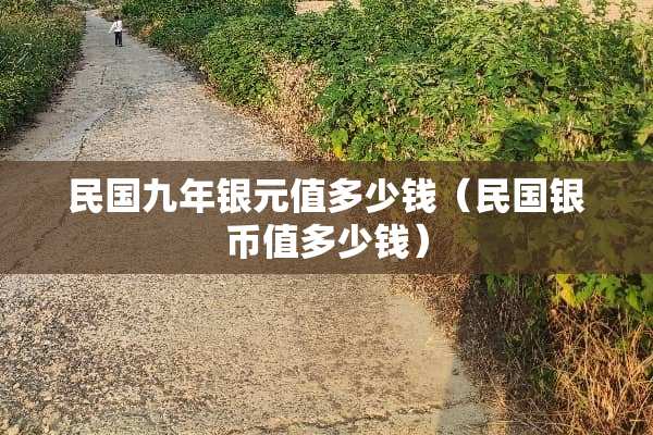 **九年银元值多少钱（**银币值多少钱）