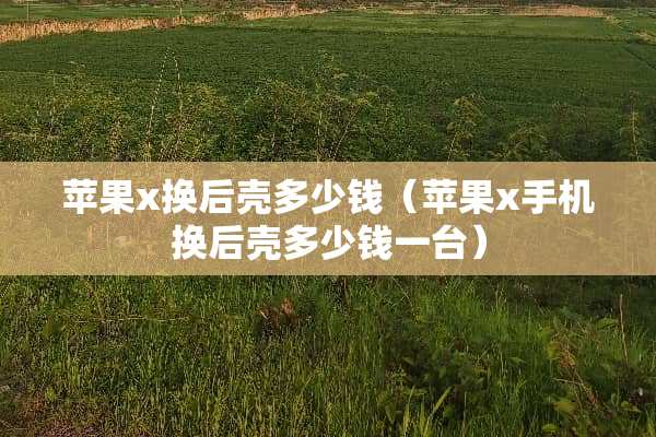 苹果x换后壳多少钱（苹果x手机换后壳多少钱一台）