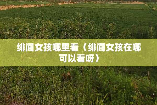 绯闻女孩哪里看（绯闻女孩在哪可以看呀）