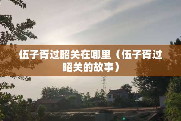 伍子胥过昭关在哪里（伍子胥过昭关的故事）