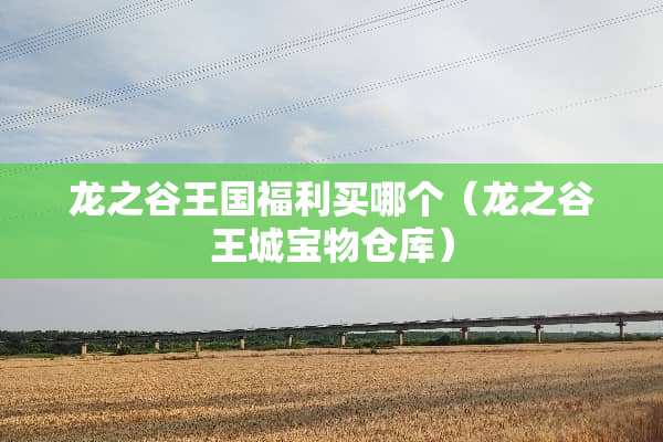 龙之谷王国福利买哪个（龙之谷王城宝物仓库）