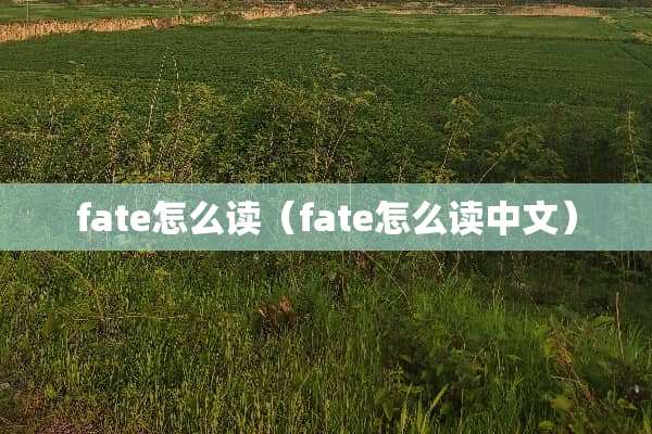 fate怎么读（fate怎么读中文）