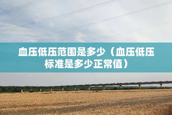 血压低压范围是多少（血压低压标准是多少正常值）