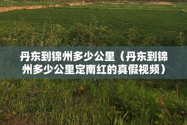 丹东到锦州多少公里（丹东到锦州多少公里定南红的真假视频）