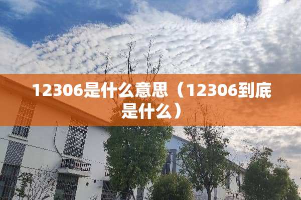 12306是什么意思（12306到底是什么）