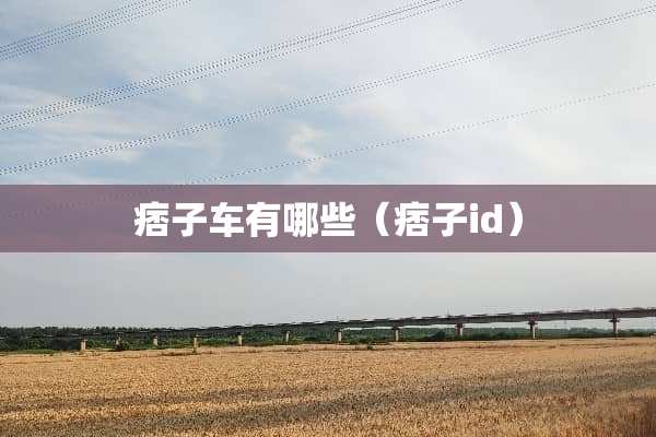 痞子车有哪些（痞子id）