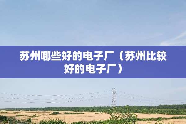 苏州哪些好的电子厂（苏州比较好的电子厂）