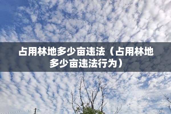 占用林地多少亩违法（占用林地多少亩违法行为）