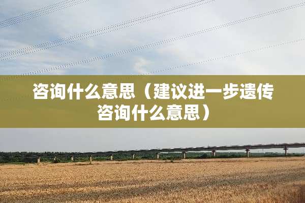 咨询什么意思（建议进一步遗传咨询什么意思）