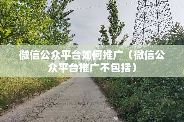 微信公众平台如何推广（微信公众平台推广不包括）