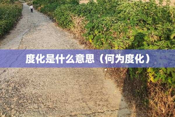 度化是什么意思（何为度化）