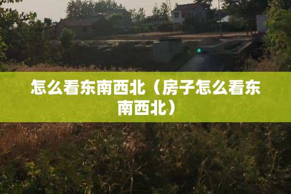 怎么看东南西北（房子怎么看东南西北）