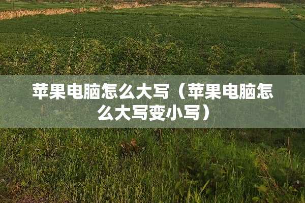 苹果电脑怎么大写（苹果电脑怎么大写变小写）
