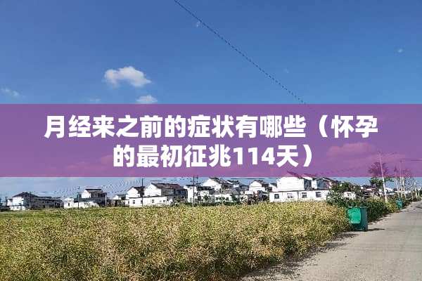 月经来之前的症状有哪些（怀孕的最初征兆114天）