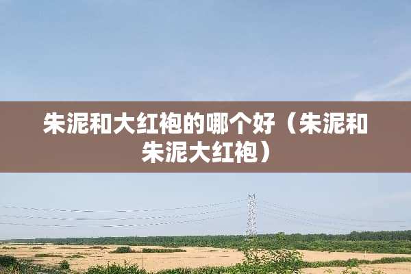 朱泥和大红袍的哪个好（朱泥和朱泥大红袍）