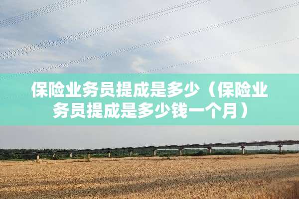 保险业务员提成是多少（保险业务员提成是多少钱一个月）