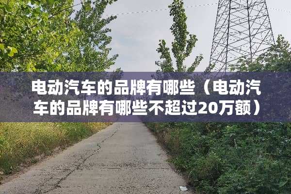 电动汽车的品牌有哪些（电动汽车的品牌有哪些不超过20万额）