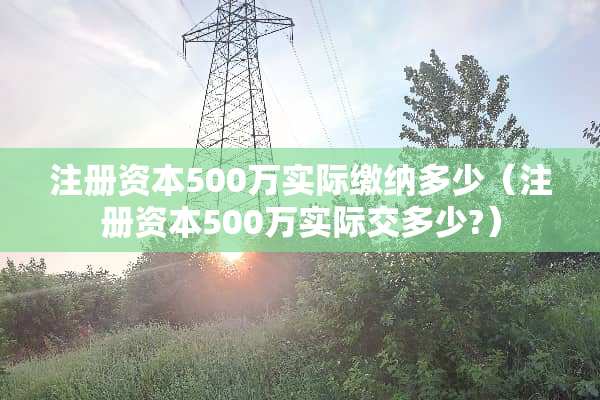注册资本500万实际缴纳多少（注册资本500万实际交多少?）