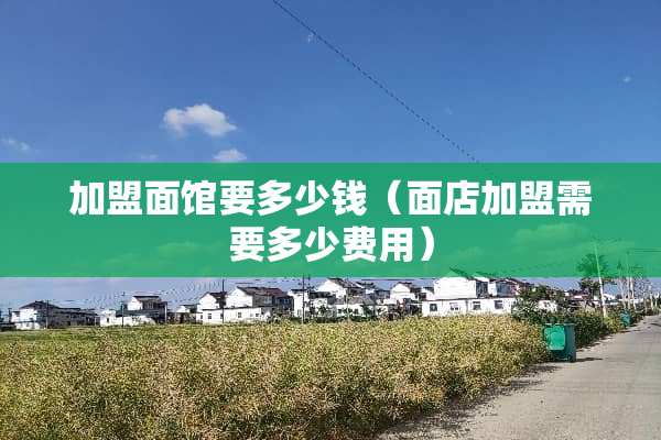 加盟面馆要多少钱（面店加盟需要多少费用）
