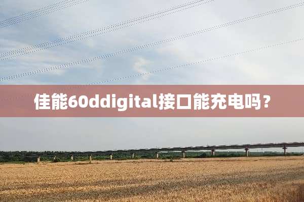佳能60ddigital接口能充电吗？