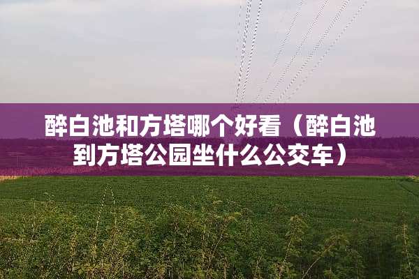 醉白池和方塔哪个好看（醉白池到方塔公园坐什么公交车）
