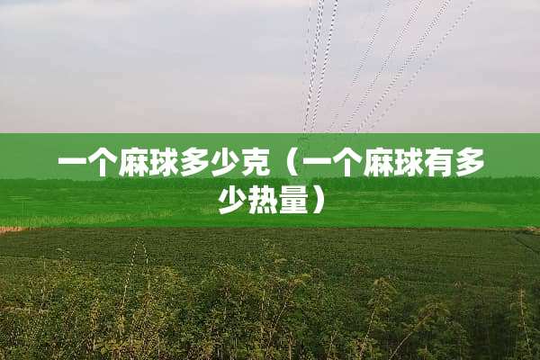 一个麻球多少克（一个麻球有多少热量）